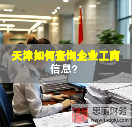 天津如何查詢企業(yè)工商信息？