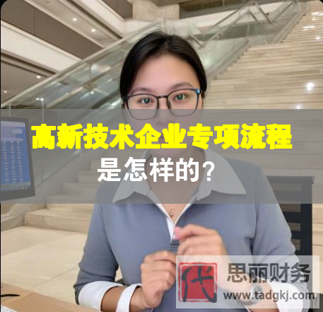 高新技術(shù)企業(yè)專項(xiàng)流程是怎樣的？