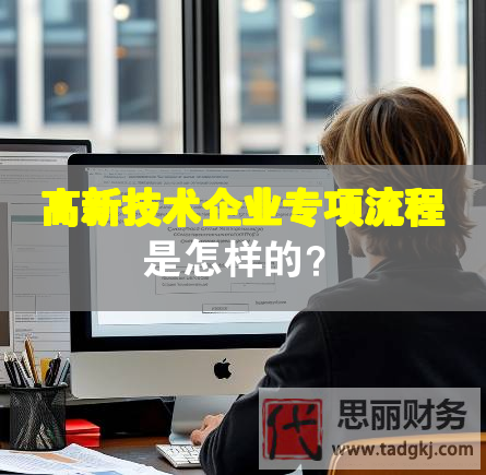 高新技術(shù)企業(yè)專項(xiàng)流程是怎樣的？