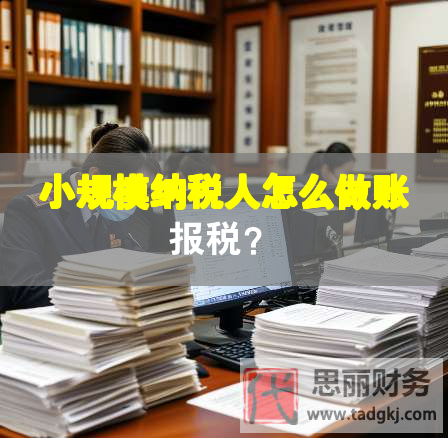 小規(guī)模納稅人怎么做賬報稅？